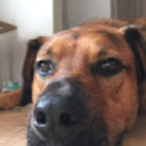 Meet your Posher, Juliann